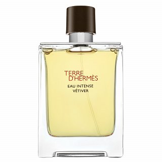 HERMÈS Terre d’Hermès Eau Intense Vétiver Eau de Parfum uraknak 100 ml