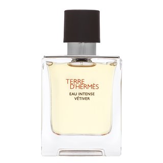 Hermes Terre D'Hermes Eau Intense Vetiver Eau de Parfum férfiaknak 50 ml